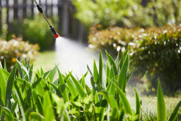 24/7 Emergency Mosquito Control experts in Beulah, ND