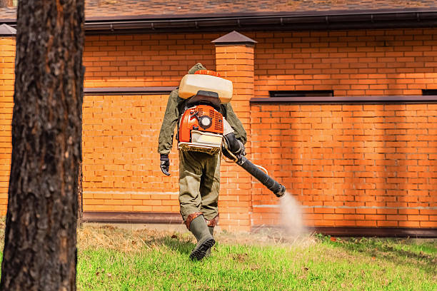 Top rated local Mosquito Control specialists in Beulah, ND